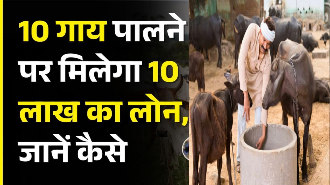 Gopalak Rin Yojana 2025 :उत्तर प्रदेश सरकार गाय पालन के लिए 10 लाख तक का बिना गारंटी वाला ऋण देगी?