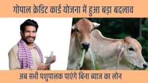 Gopalak Rin Yojana 2025 :उत्तर प्रदेश सरकार गाय पालन के लिए 10 लाख तक का बिना गारंटी वाला ऋण देगी?