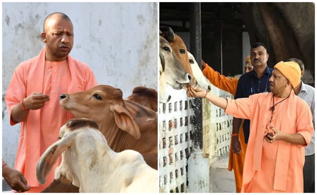 Gopalak Rin Yojana 2025 :उत्तर प्रदेश सरकार गाय पालन के लिए 10 लाख तक का बिना गारंटी वाला ऋण देगी?